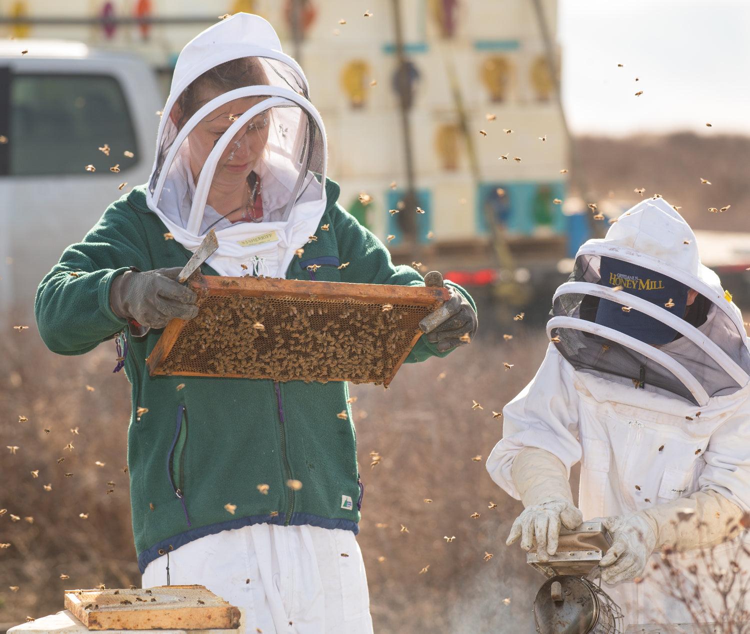 From Hive to Jar: Exploring the Honey Making Process – GREIDANUS HONEY MILL