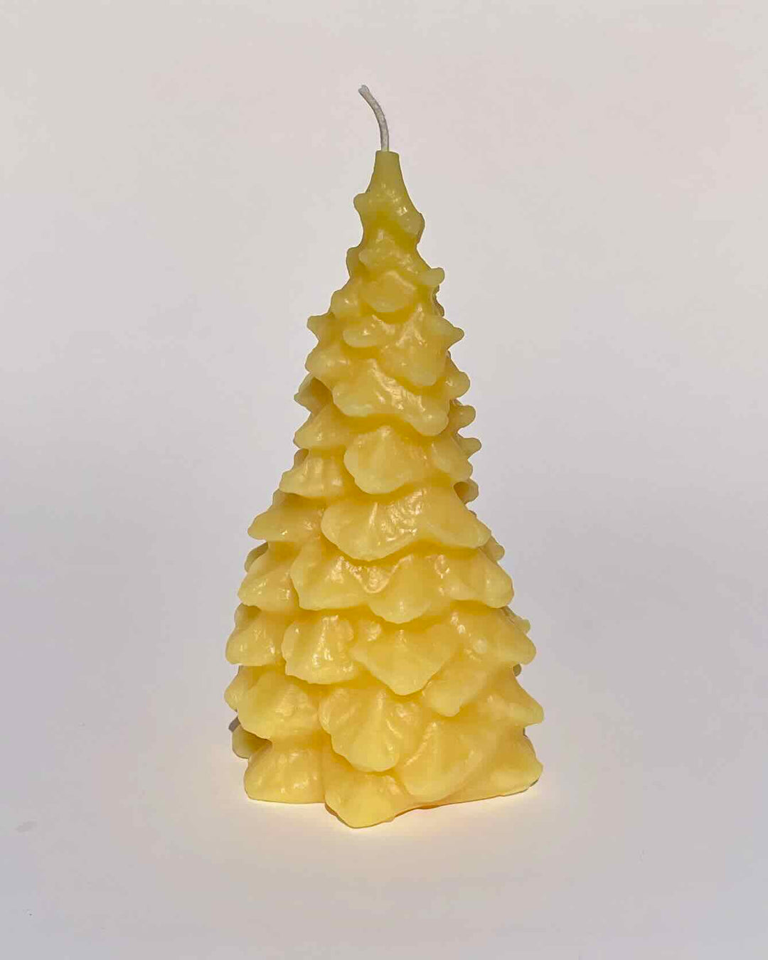 5 1/2" Spruce Tree